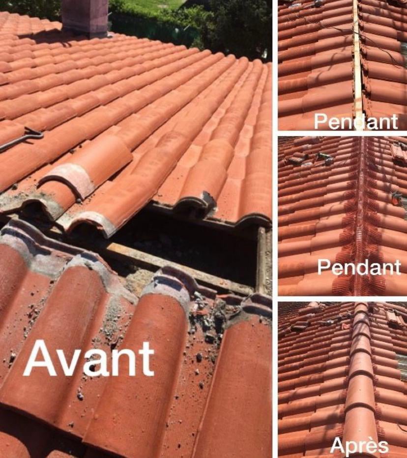 Peinture sur toiture